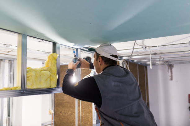 Best Insulation Air Sealing  in Alma, MI